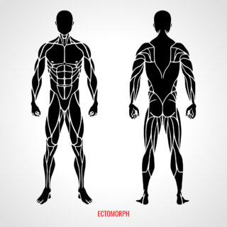Wyjaśnienie 3 typów metabolicznych ciała